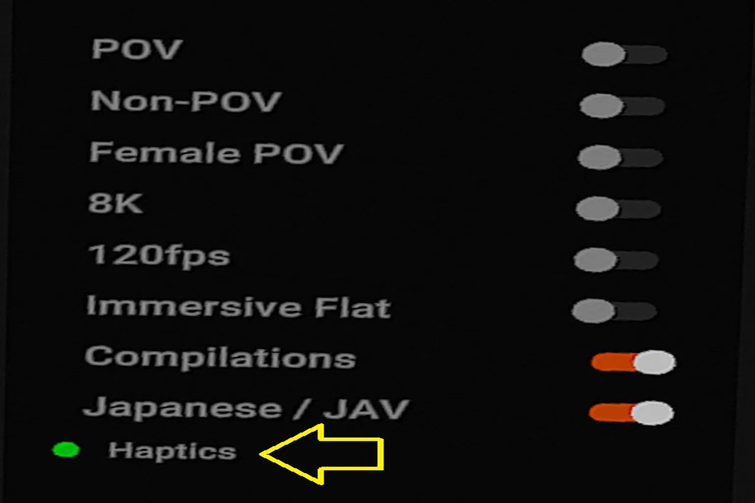 DeoVRの動画フィルター画面で、Haptics対応動画を絞り込む項目が表示されている画面。